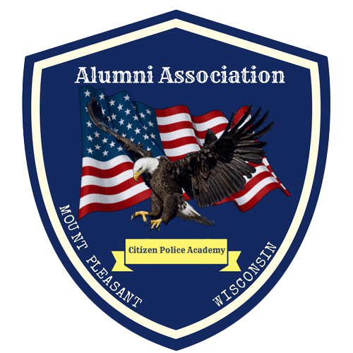 Eagle with a USA Flag. 